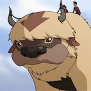 Oogi (Legend of Korra)
