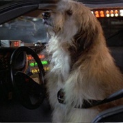 Einstein (Back to the Future, 1985)