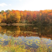 Hampstead, New Hampshire