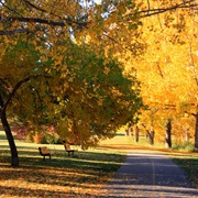 Confederation Park, Calgary