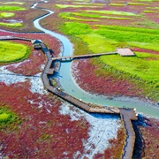 Jeungdo Island, South Korea
