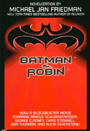 Batman and Robin (M. J. Friedman)