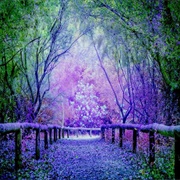 Try a Different Way Home