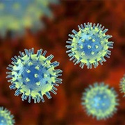 Virus