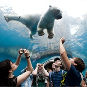 Pittsburgh Zoo &amp; PPG Aquarium (Highland Park), PA, USA