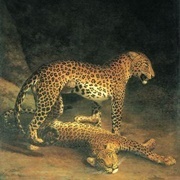 Two Leopards Playing (Jacques-Laurent Agasse)