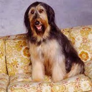 Buck ("Married... With Children")