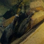 Any Bottle From a Sunken Ship