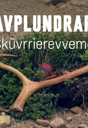 Gravplundrarna (2021)