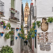 Calleja De Las Flores, Cordoba