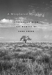 A Misplaced Massacre (Ari Kelman)