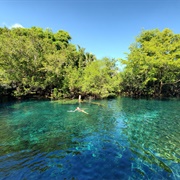 Reserva Ecológica Ojos Indígenas, Punta Cana, Dominican Republic