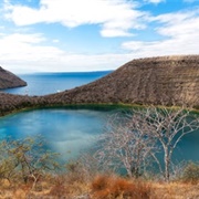 Float in Darwin Lake, Galápagos Islands