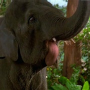 Shep (George of the Jungle, 1997)