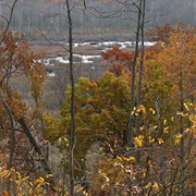 Dune Ridge Trail, Indiana Sand Dunes NP