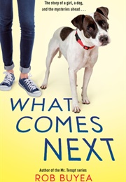 What Comes Next (Rob Buyea)