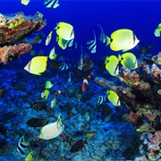 Watamu & Watamu Marine National Park, Kenya