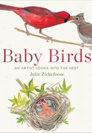 Baby Birds: An Artist Looks Into the Nest (Julie Zickefoose)