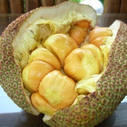 Chempedak (Artocarpus Integer)