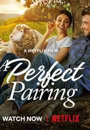 A Perfect Pairing (2022)