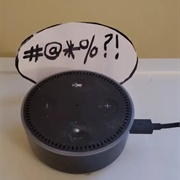 Argued With Alexa