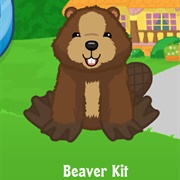 Beaver Kit