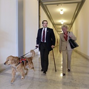 Luis Carlos Montalvan