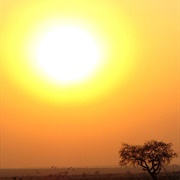 African Sun