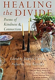 Healing the Divide: Poems of Kindness and Connection (James Crews)