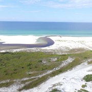 Camp Helen State Park
