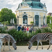 Tiergarten Schönbrunn (Schönbrunn Zoo), Vienna, Austria