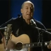 "Won't Get Fooled Again," Pete Townsend