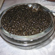 Beluga Caviar