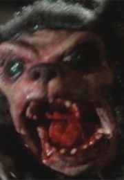 Grizzly Teddy (1992)