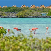 Bonaire, Sint Eustatius and Saba
