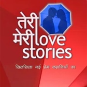 Teri Meri Love Stories
