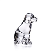 Glass Dog