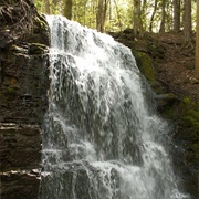 Silverfallet, Skövde