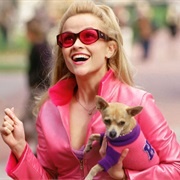 Elle Woods (Legally Blonde, 2001)