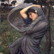 Boreas (1903)