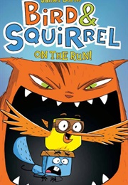 Bird & Squirrel on the Run (Bird & Squirrel, #1) (James Burks)