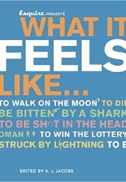 What It Feels Like (A.J. Jacobs)