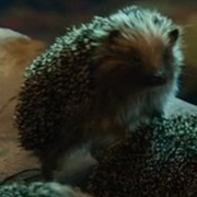 Hedgehog