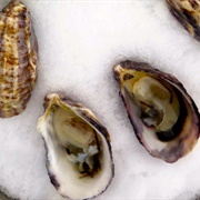 Chelsea Gem Oysters