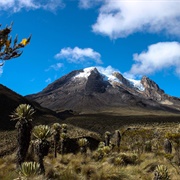 Los Nevados National Park, Colombia