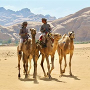 Camel Ride, Wadi Rum, Jordan