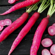 Easter Radishes
