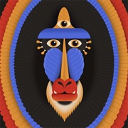 Javva - Balance of Decay