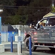 Had Your Dog Try to Order at the Drive Thru