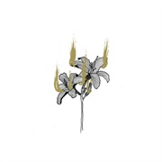 Hyrgal - Fin De Règne